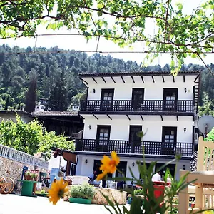 Auberge de jeunesse Maya Berat